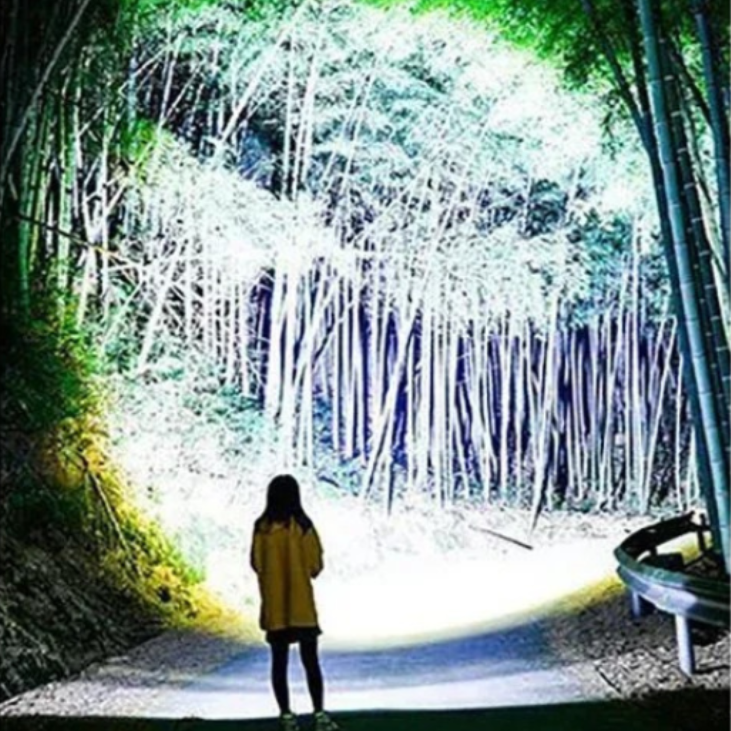 Ultraheldere LED-Zaklamp